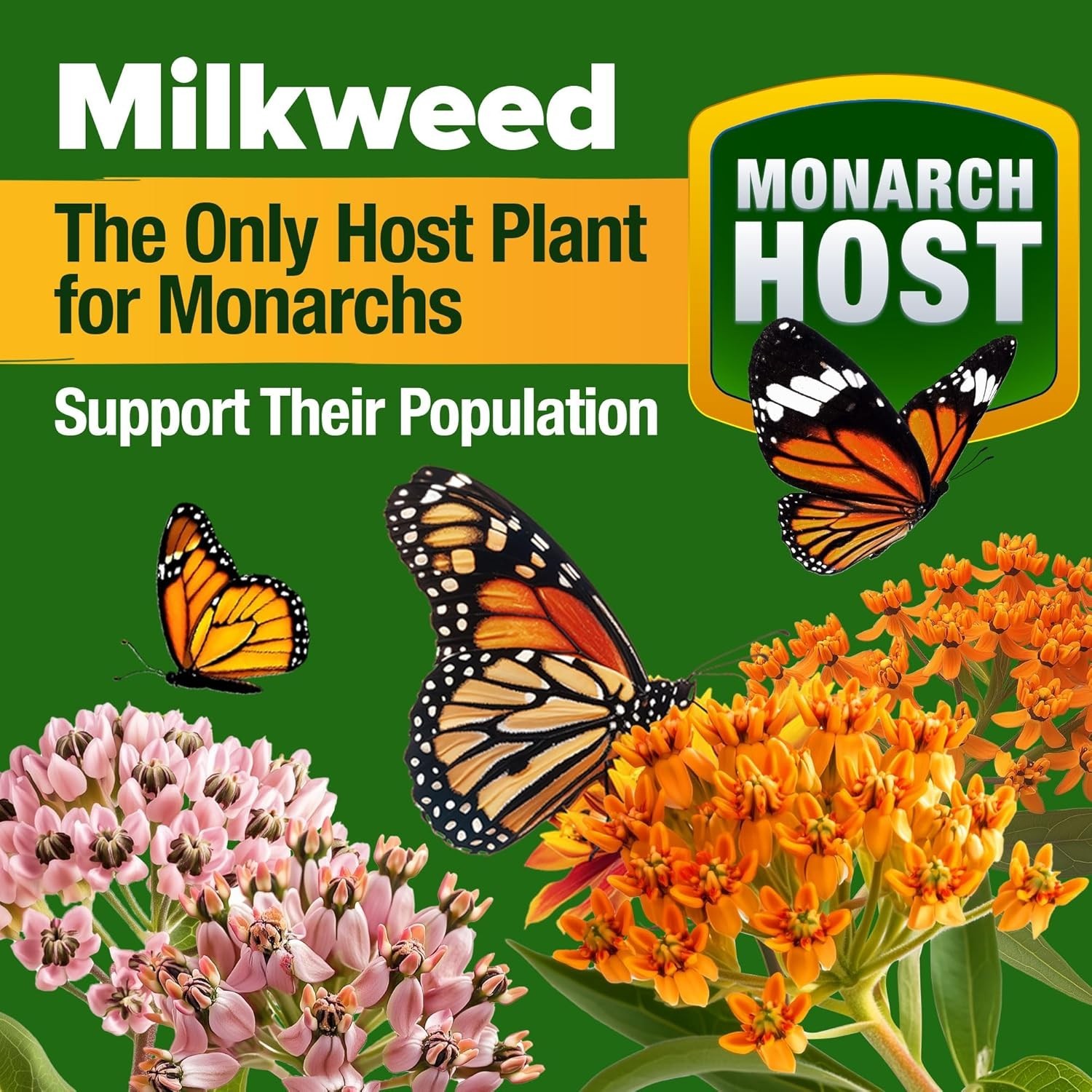 High Germination Monarch Butterfly Seeds Mix – 2oz Non-GMO Wildflowers for Bees