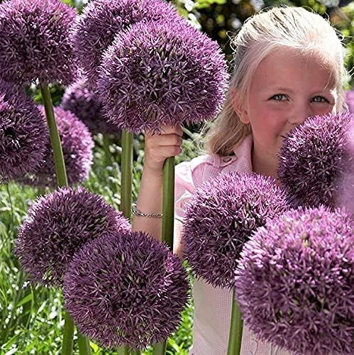 Spring Garden Bliss: 50 Bulbs for 50 Days of Blooms