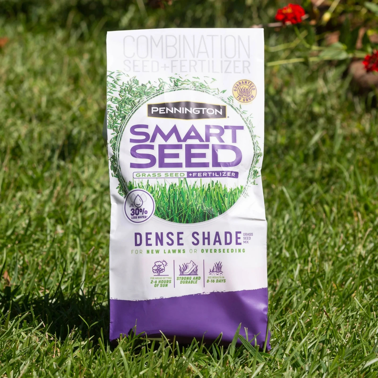 (2 Pack) Pennington Smart Seed Dense Shade Fescue Grass Mix 7 lb Bags 14lb Total