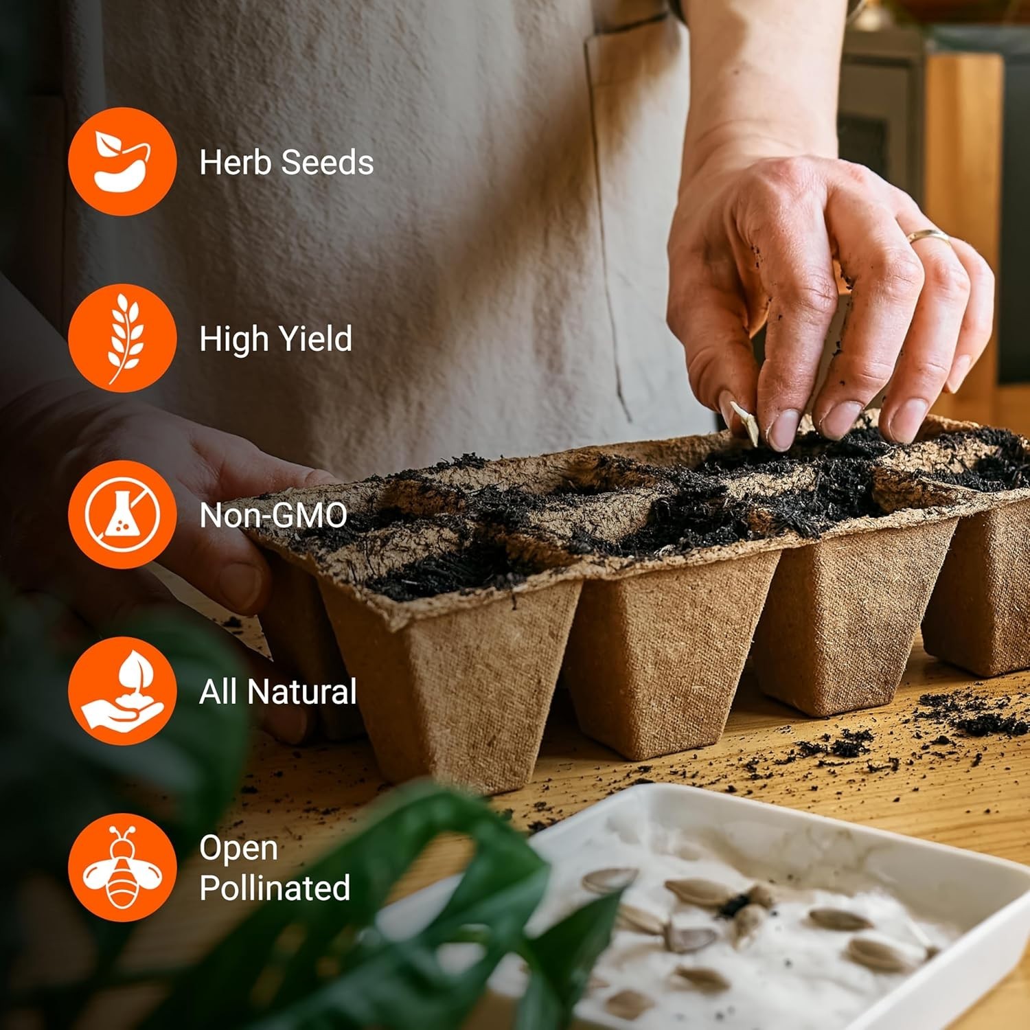 Pet Friendly Herb Seeds Variety Pack | 12 Heirloom Non-GMO Options for Planting