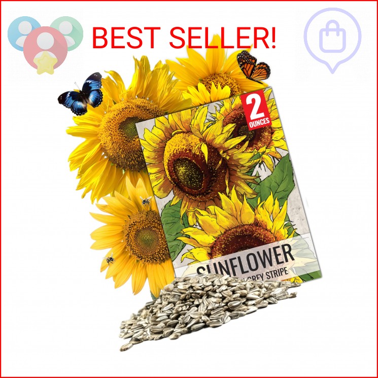 Seed Needs Sunflower Seeds to Plant Mammoth Grey Stripe | 2 Ounce Large Resealab