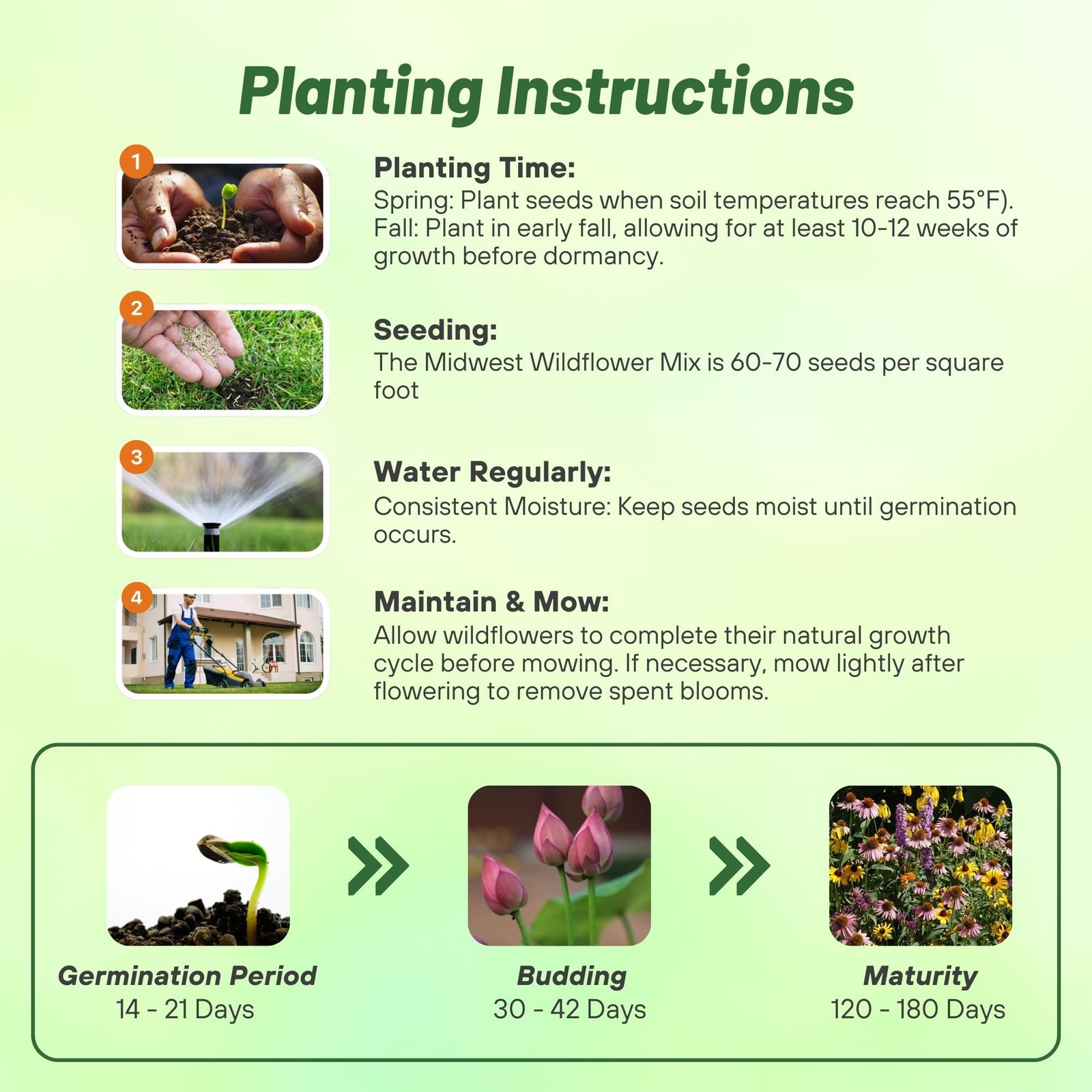 Midwest Wildflower Seed Mix – 1 Lb. Annual & Perennial Native Seeds for