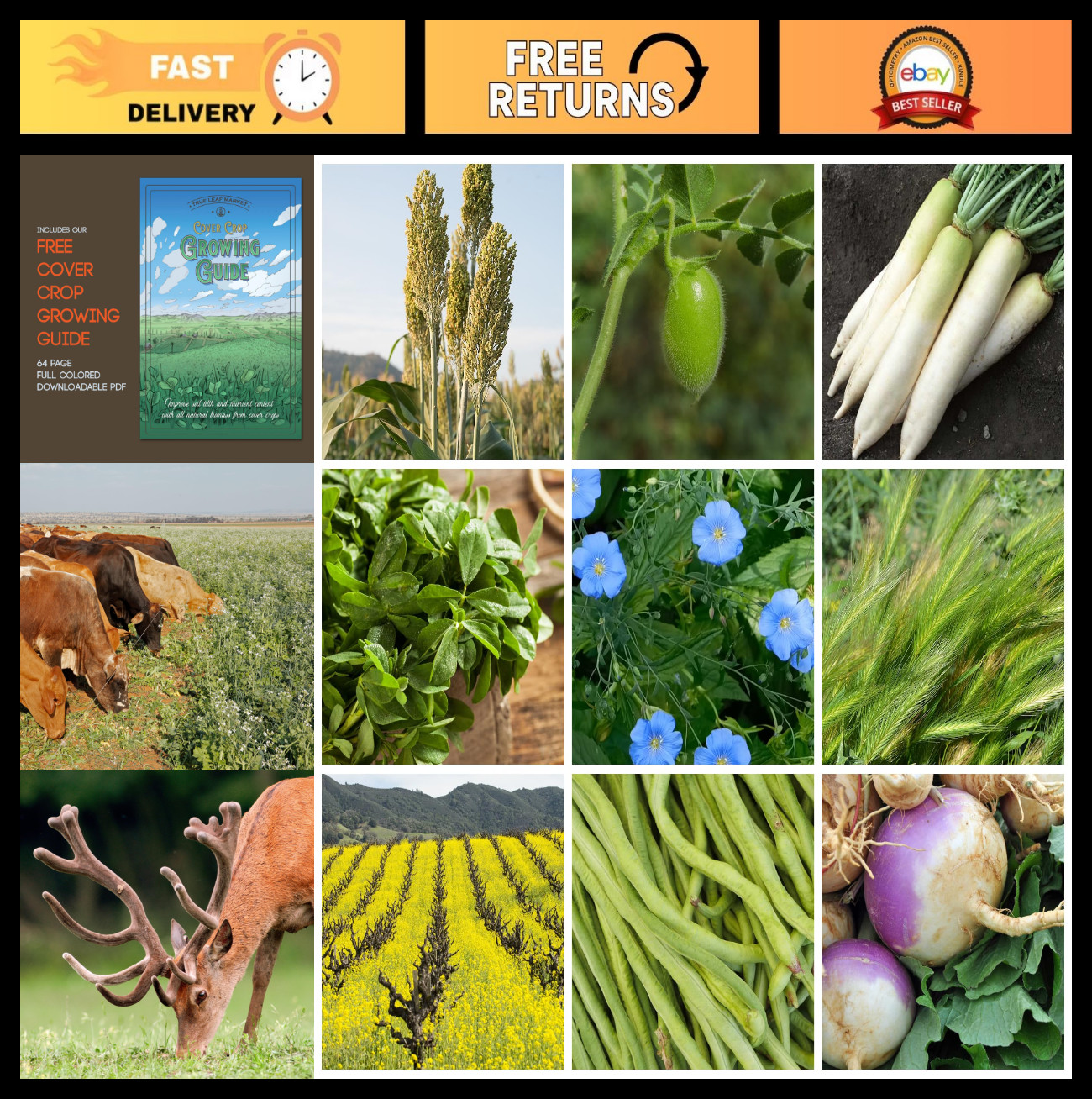 5 lb No-Till Cover Crop Seed Mix – 9 Winter-Kill Varieties, Non-GMO, 1,000 Sq Ft