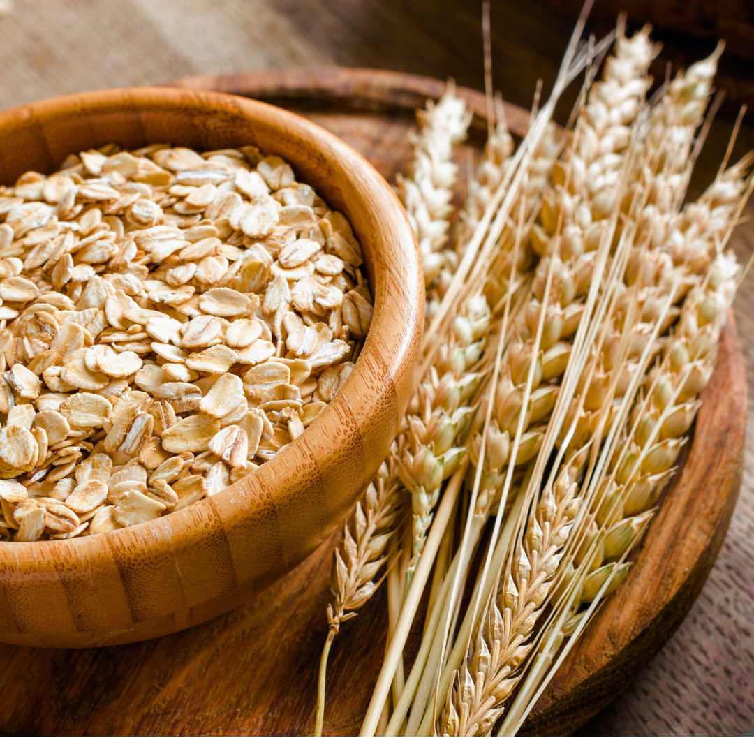 Fresh Premium Oat Plant Seeds | Organic | Hulless | Heirloom Non-GMO | Grains