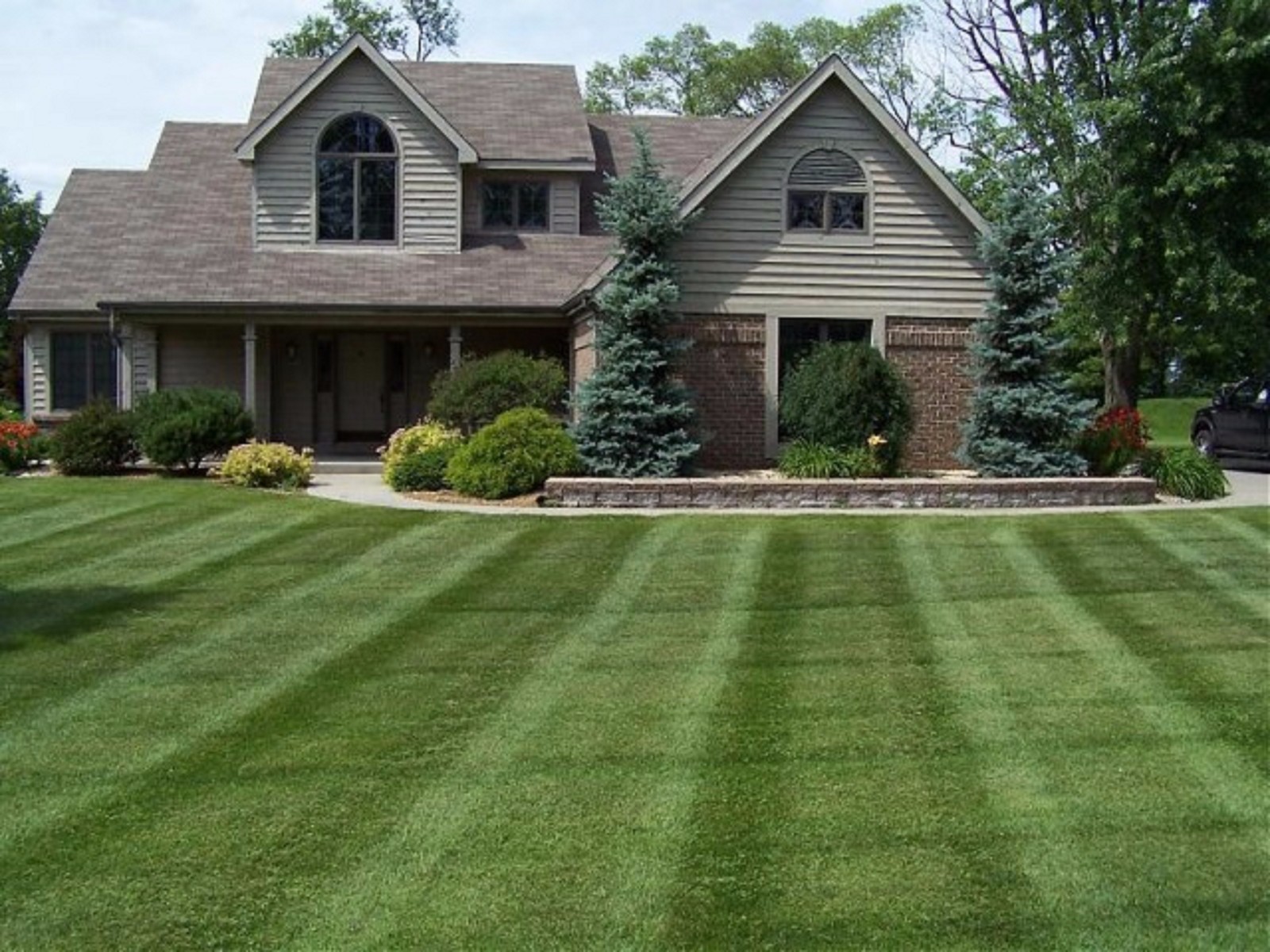 10 LBS SUNNY BLEND GRASS SEED MIX FALCON FESCUE PERENNIAL RYE KY. BLUEGRASS