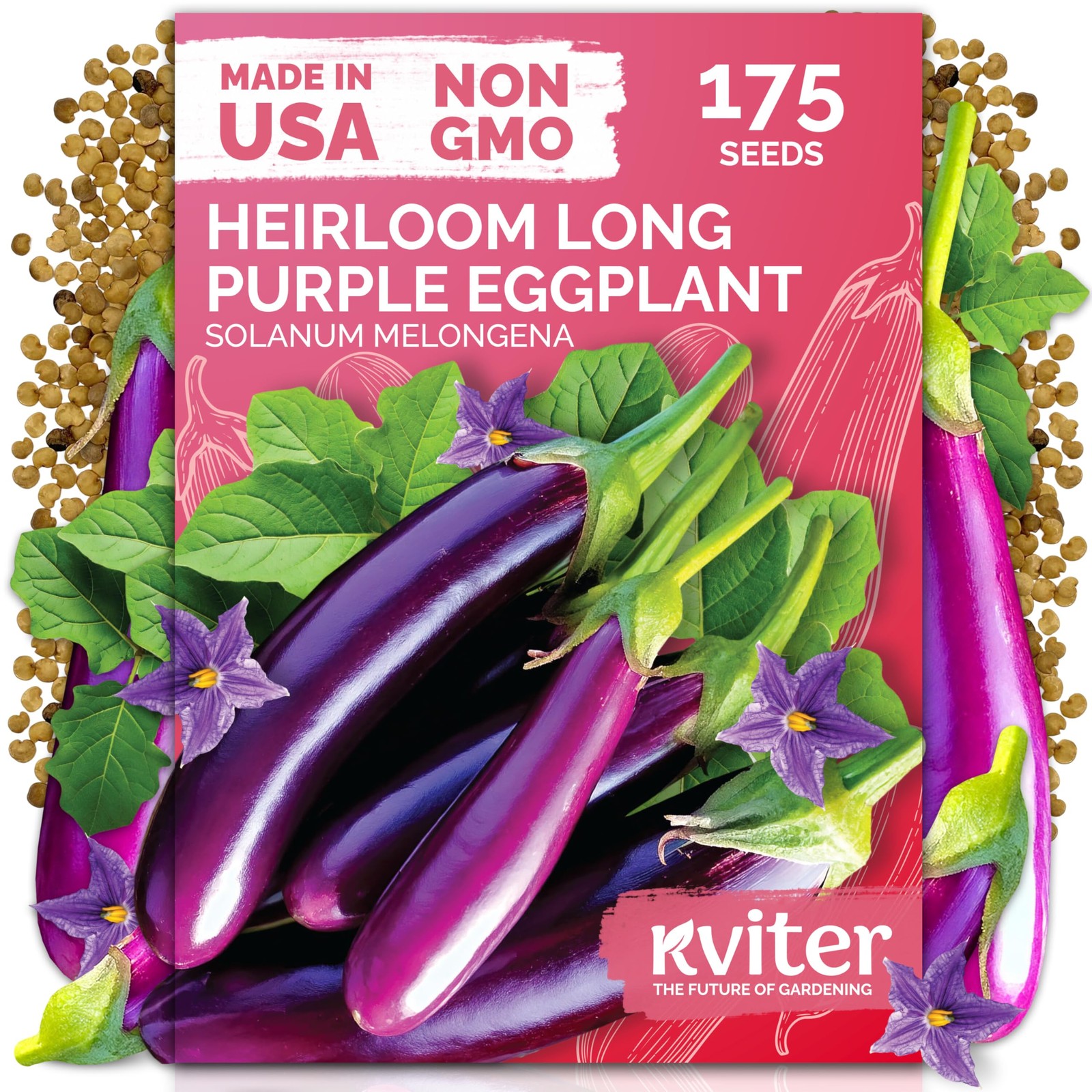 KVITER 175 Long Purple Eggplant Seeds (Solanum melongena)