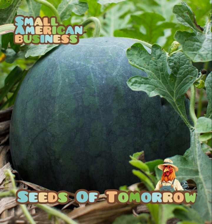 40 Black Diamond Watermelon Seeds- With Bonus! |Organic Non-GMO Heirloom