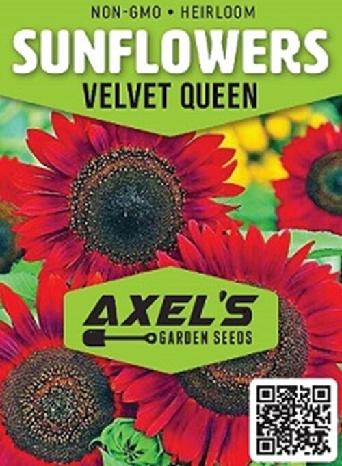 Bulk Sunflower Seeds for Planting – Heirloom NonGmo Flower Seeds for Home Garden