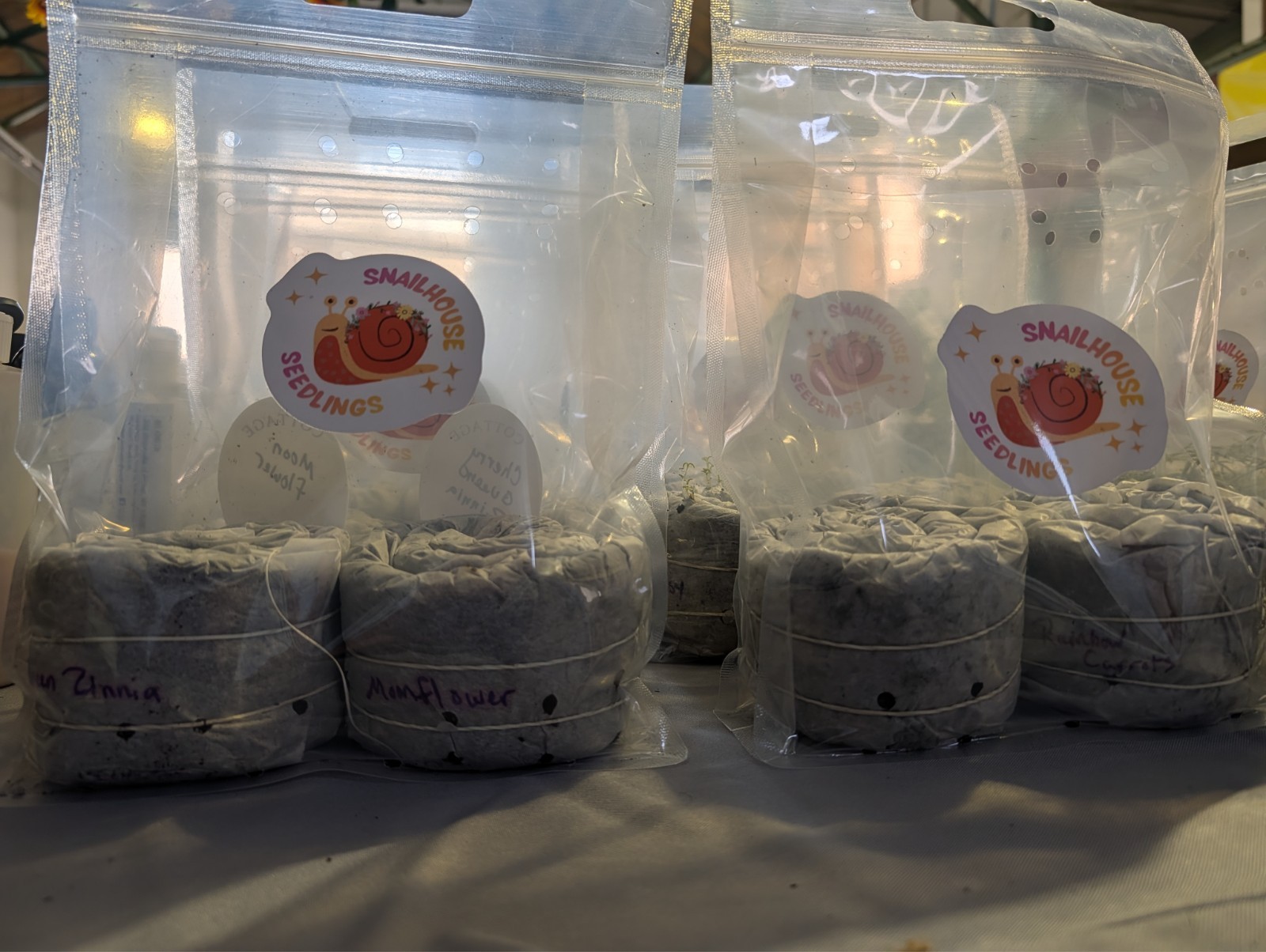 Choose Any 3 Seed Snails- Packed with seeds and ready to grow!