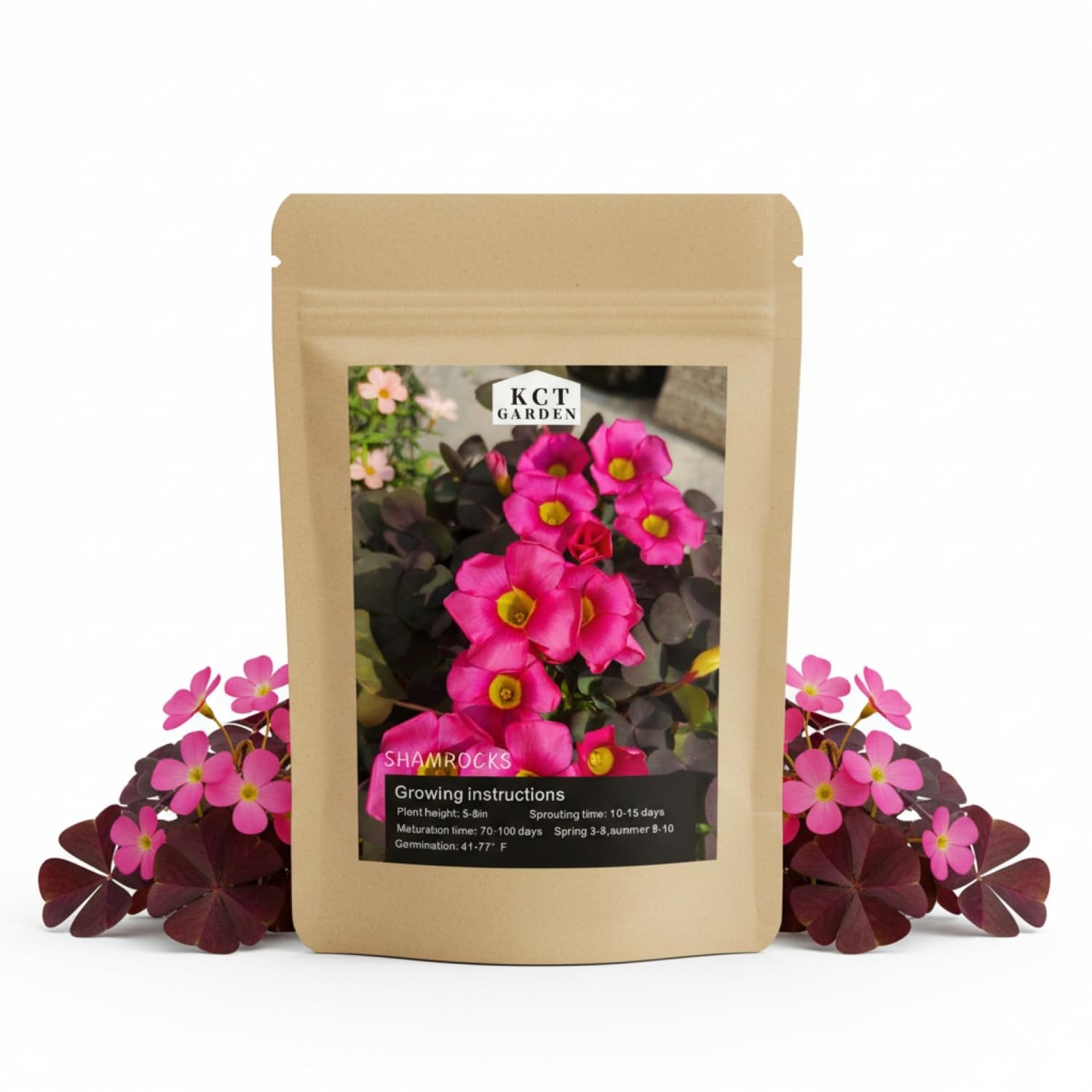 12 Purple Shamrock Bulbs Oxalis Triangularis for Planting, Flower Bulbs Indoo…