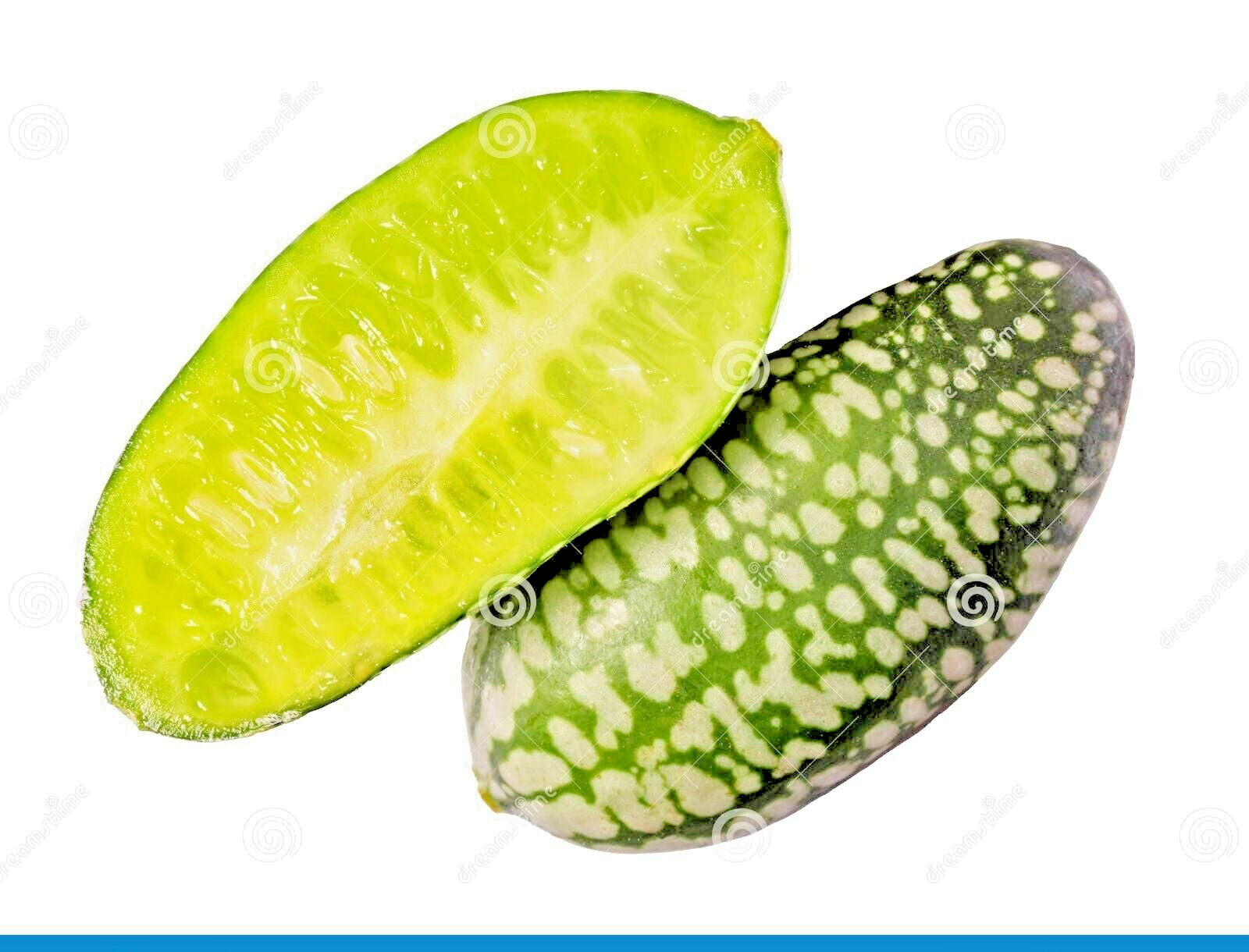 15 Mexican miniature watermelon Seeds – Melothria scabra