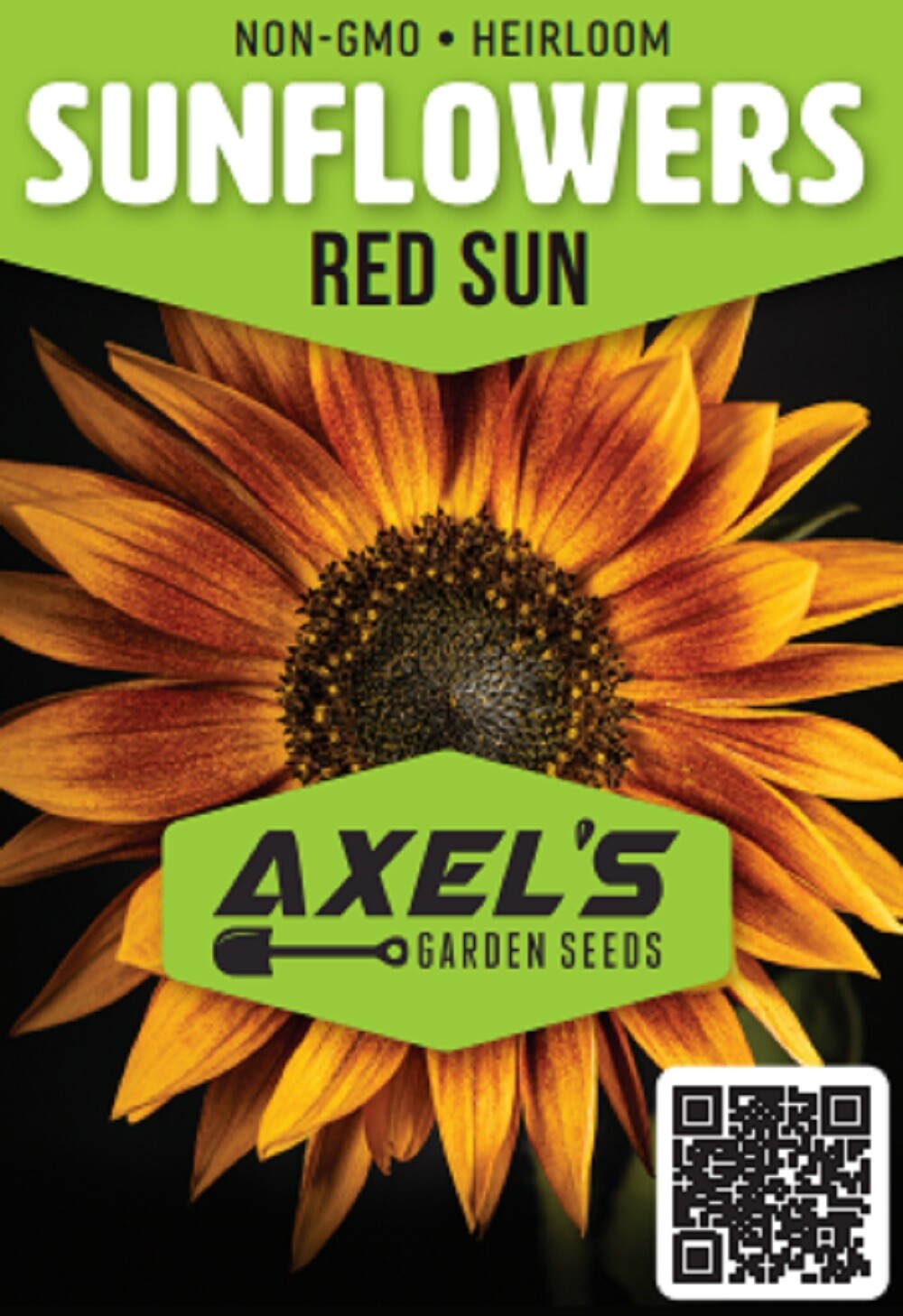 Sunflower Seeds – Rare Red Sun Orange, Heirloom, Free Shipping!