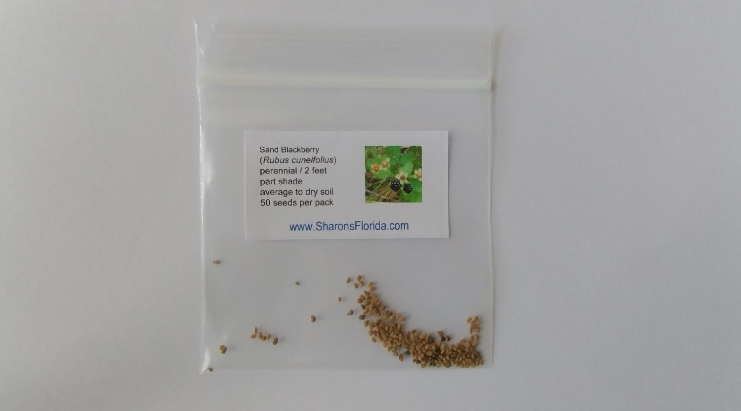 Sand Blackberry (Rubus cuneifolius) ✤ 50 Seeds