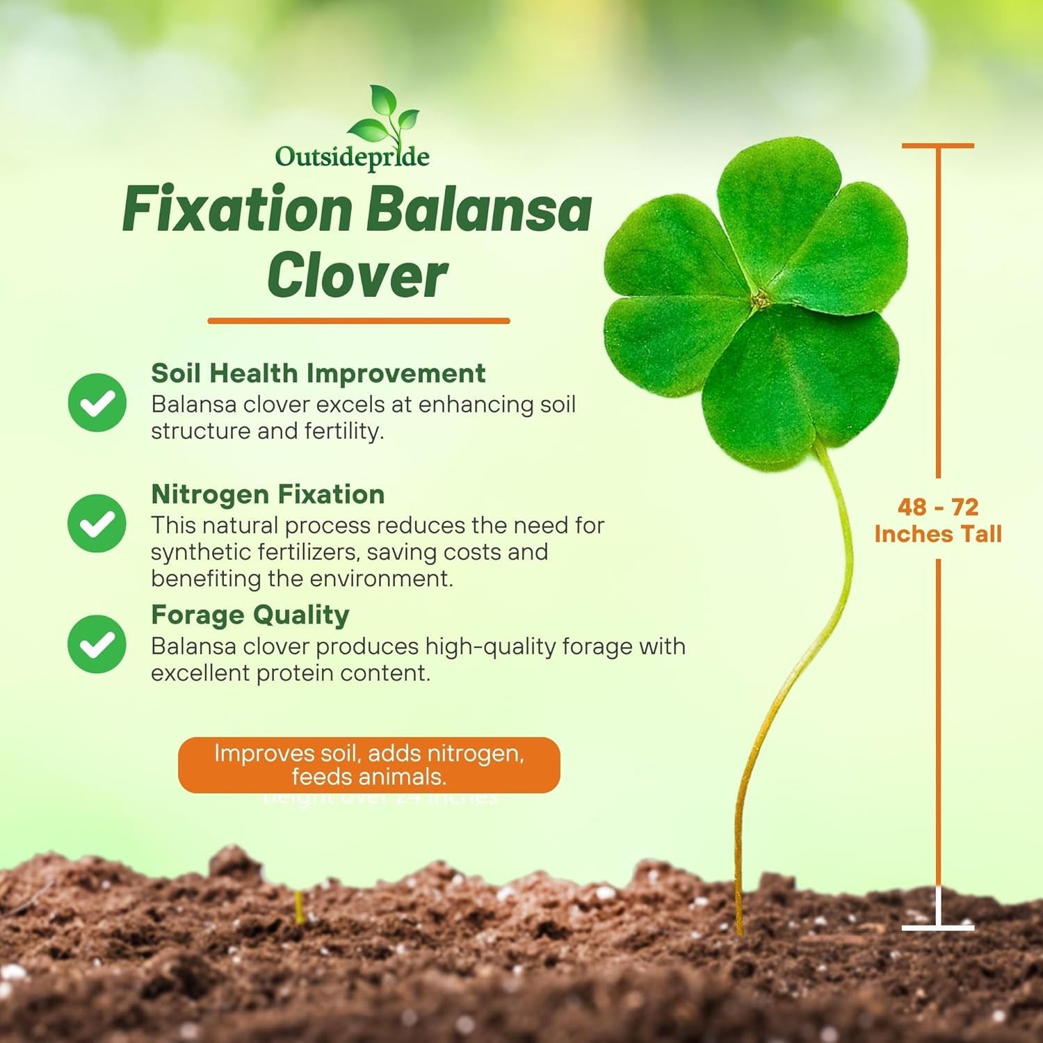 50 LBS – Inoculated FIXatioN Balansa Clover: Bio-Massive Drought Tolerant