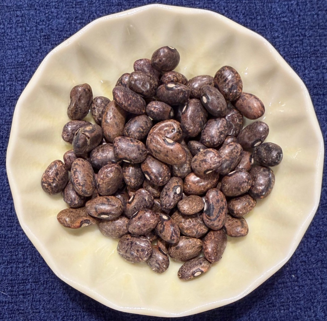 Moro Beans – Qty: 40 beans