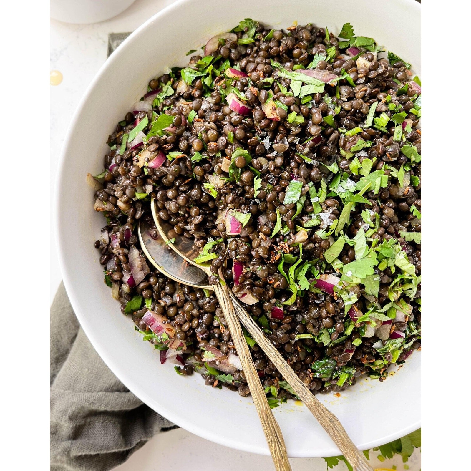 Sprouting Brown Lentils Seeds | Non GMO Heirloom Seed USA Indian Daal