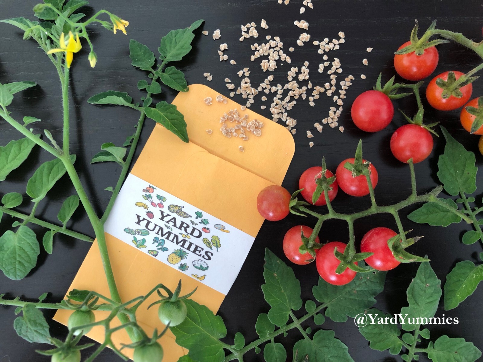 30 Florida Everglades Tomato SEEDS Heirloom Heat Tolerant Tomato Seeds