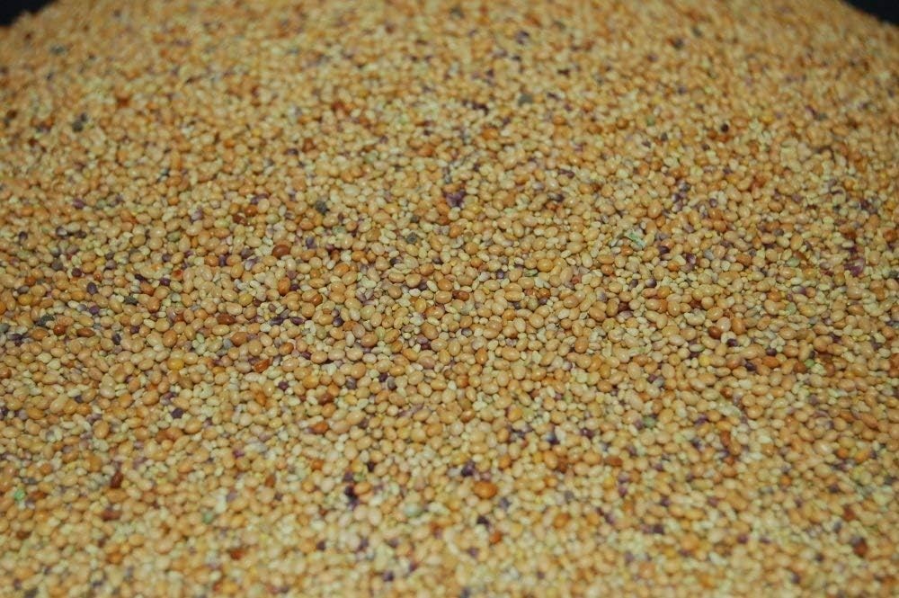 Three-Part Clover Blend – Beauty, Cover, Natural Attractant
