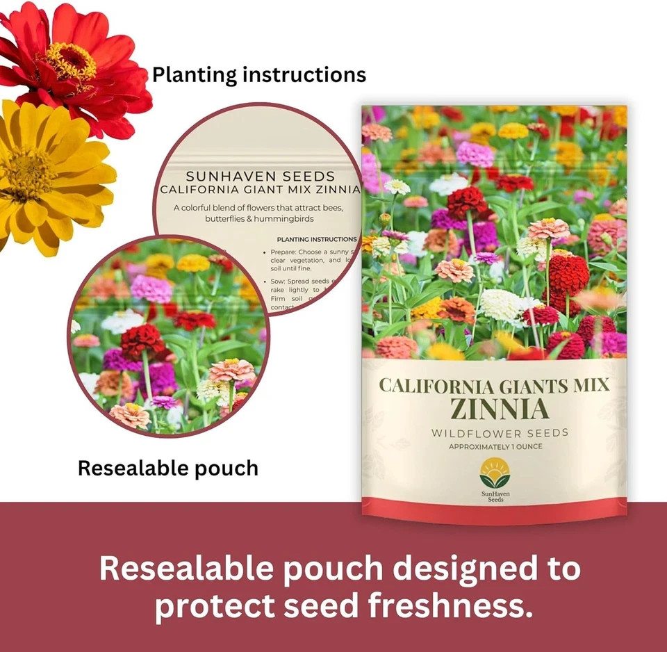Zinnia Seeds – California Giants Mix – 4,000+ Seeds – 1 Oz Bulk Extra Large Rese
