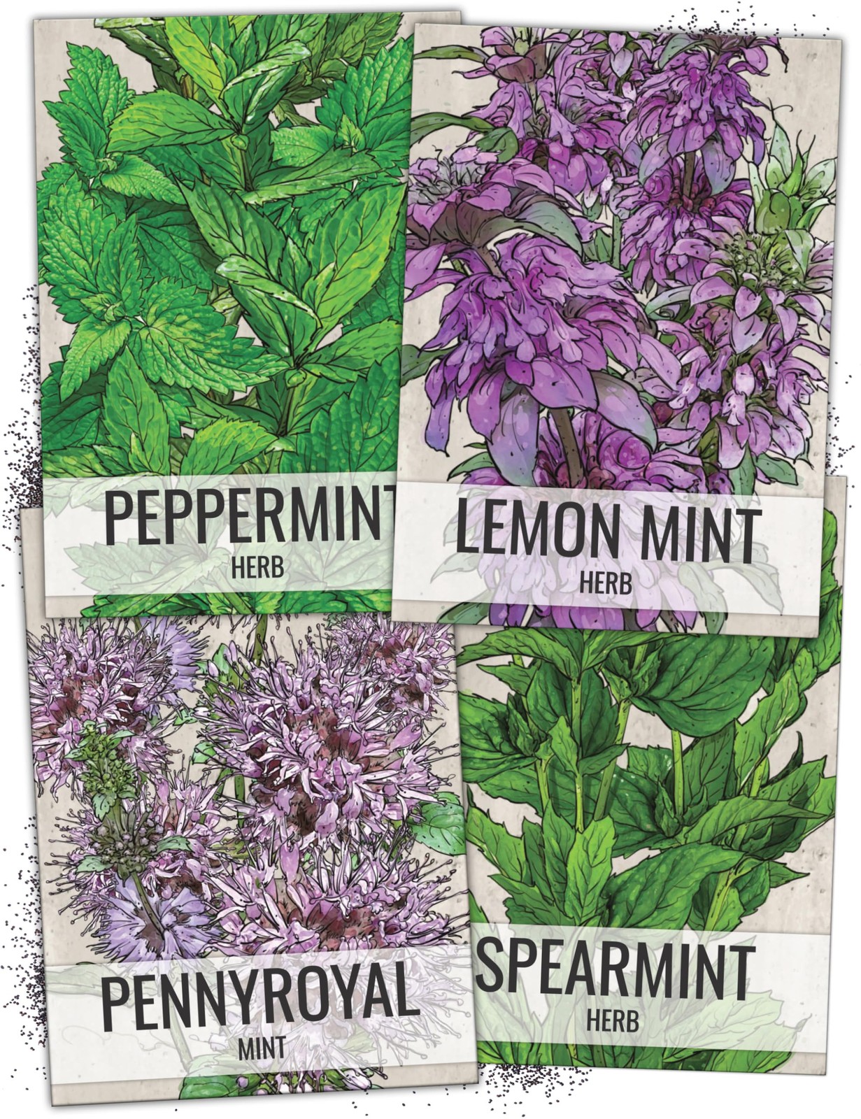 Mint Seeds for Planting Spearmint, Peppermint, Lemon Mint & Pennyroyal – Non-…