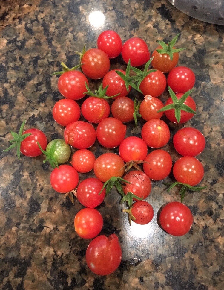 Everglades Tomato seeds 60+ Organic Solanum pimpinellifolium + Marigolds