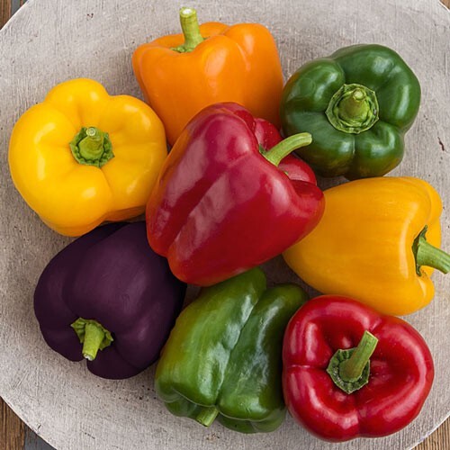 Organic Peppers 1-B