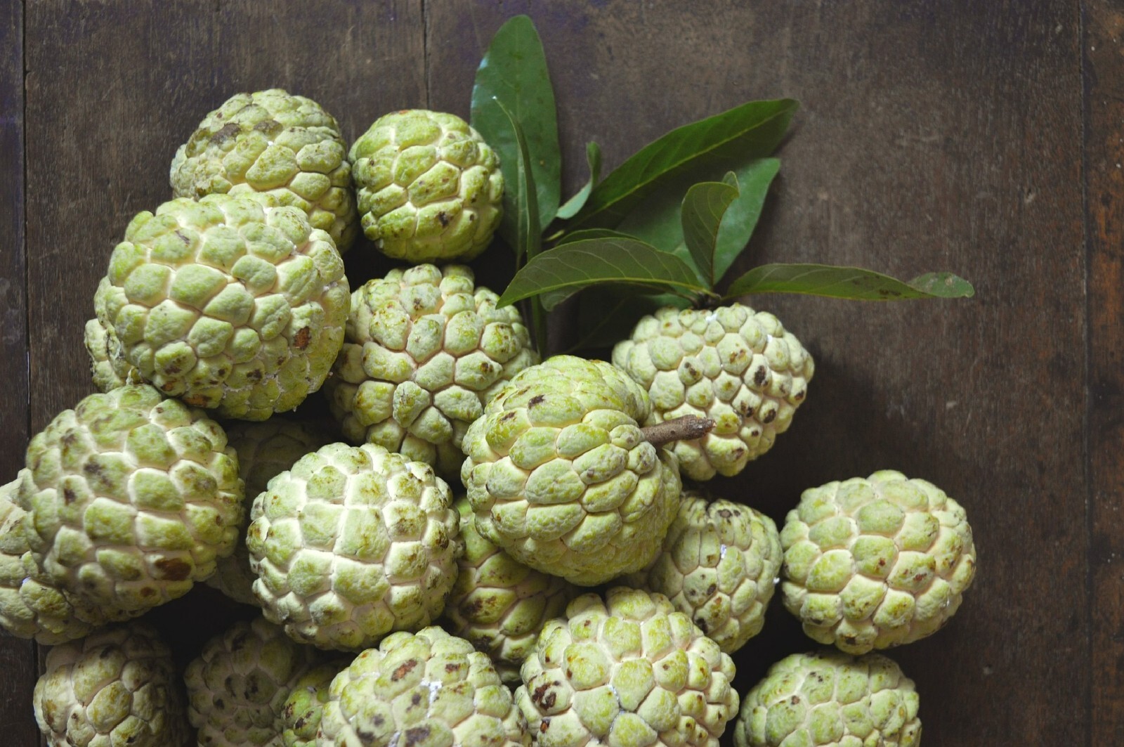 Custard Sugar Apple {Annona Squamosa} 10 Tree Seeds Non-GMO Tropical Fruit Sweet