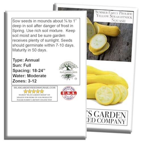 Early Prolific Yellow Straightneck Summer Squash Seeds for Planting, 50+