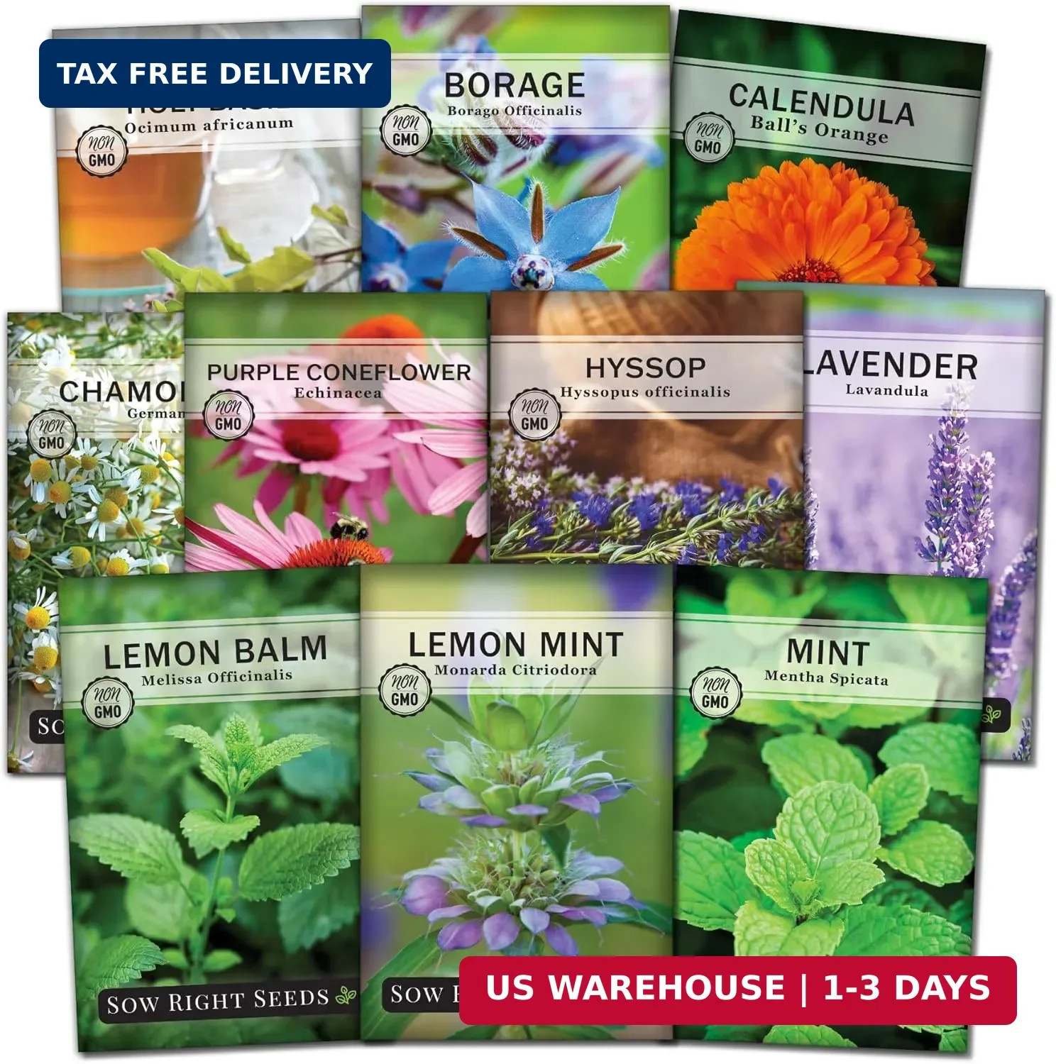 Sow Right Seeds – Large Herbal Tea Garden Seed Collection for Planting – Lemon B