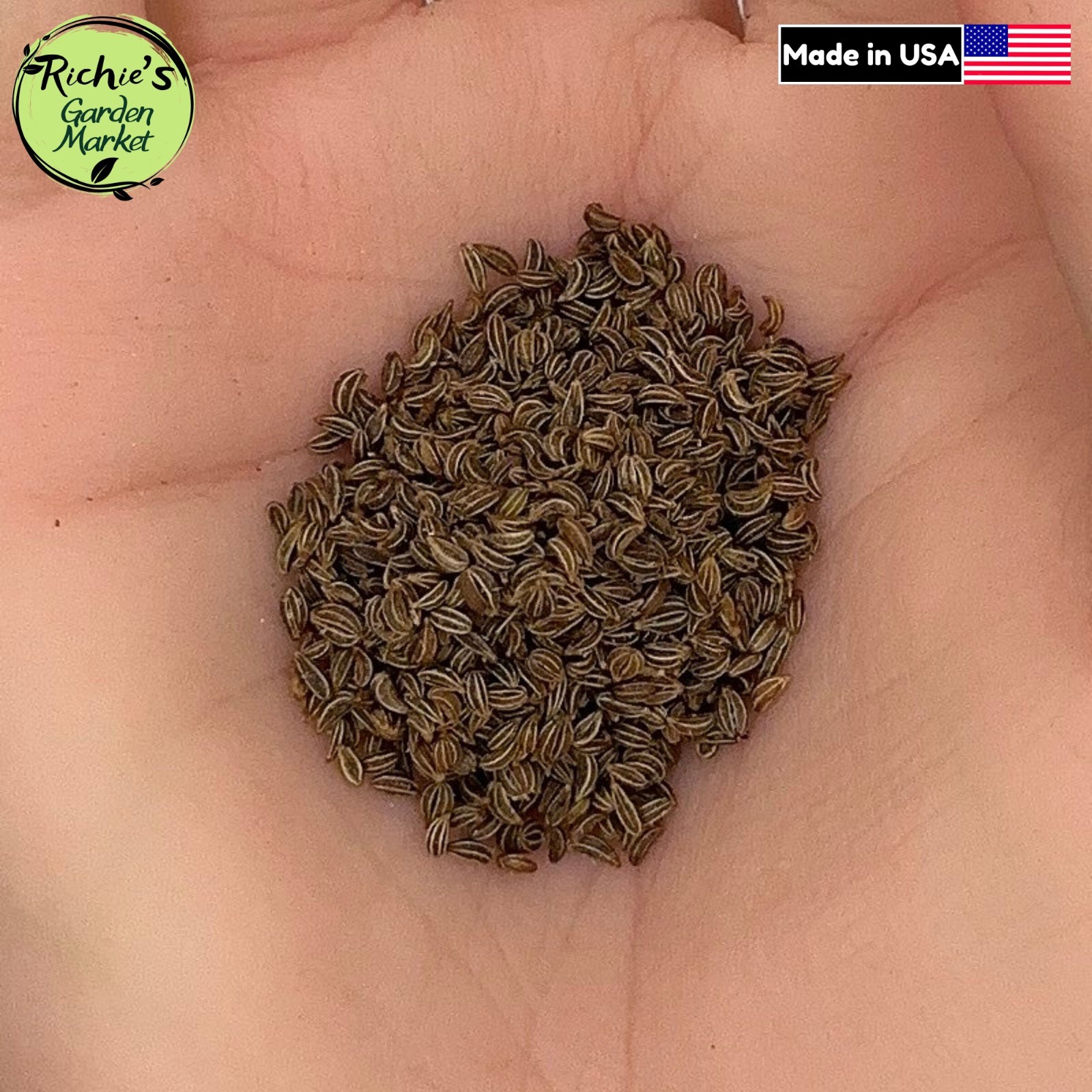 Parsley Italian Seeds, Flat Leaf, Garnish Herb, Non-GMO, Free Shipping