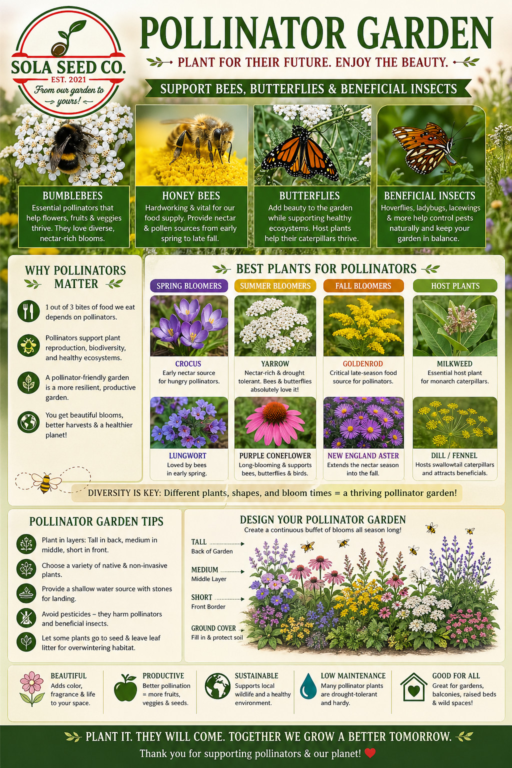 3000 Yarrow Seeds-White-Red-Yellow Trifecta-Pollinator-Medicinal-Xeriscaping USA