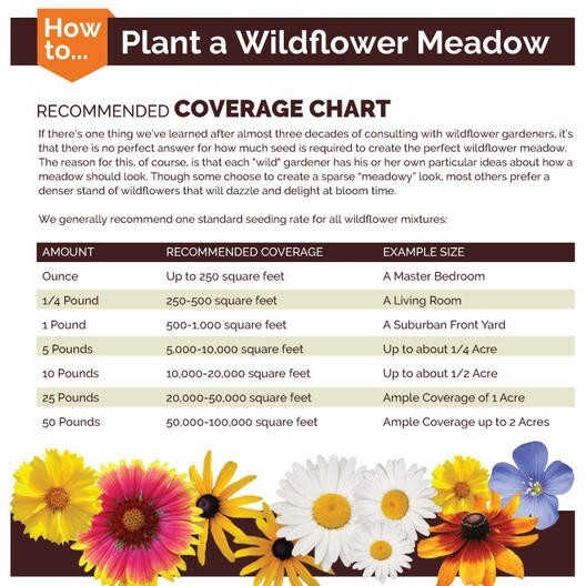 Blanket Flower SINGLE MIX Gaillardia Perennial Butterflies USA Non-GMO 100 Seeds