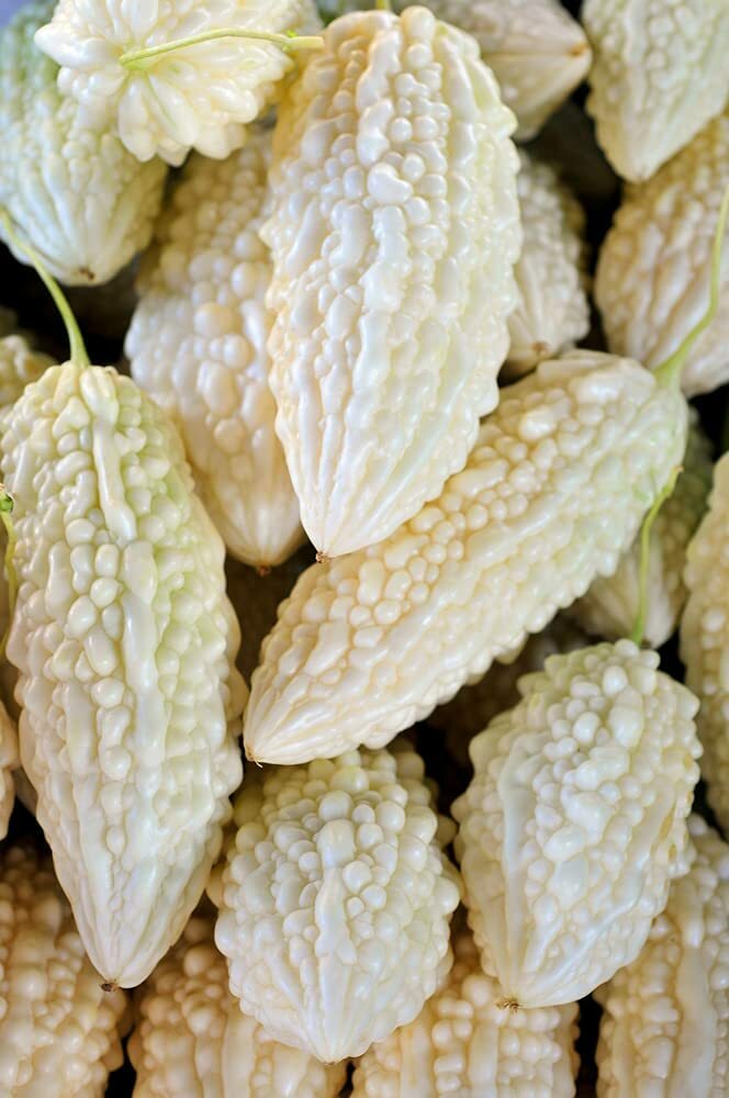 6 White Bitter Melon Seeds for Planting Whit Bitter Gourd Melon