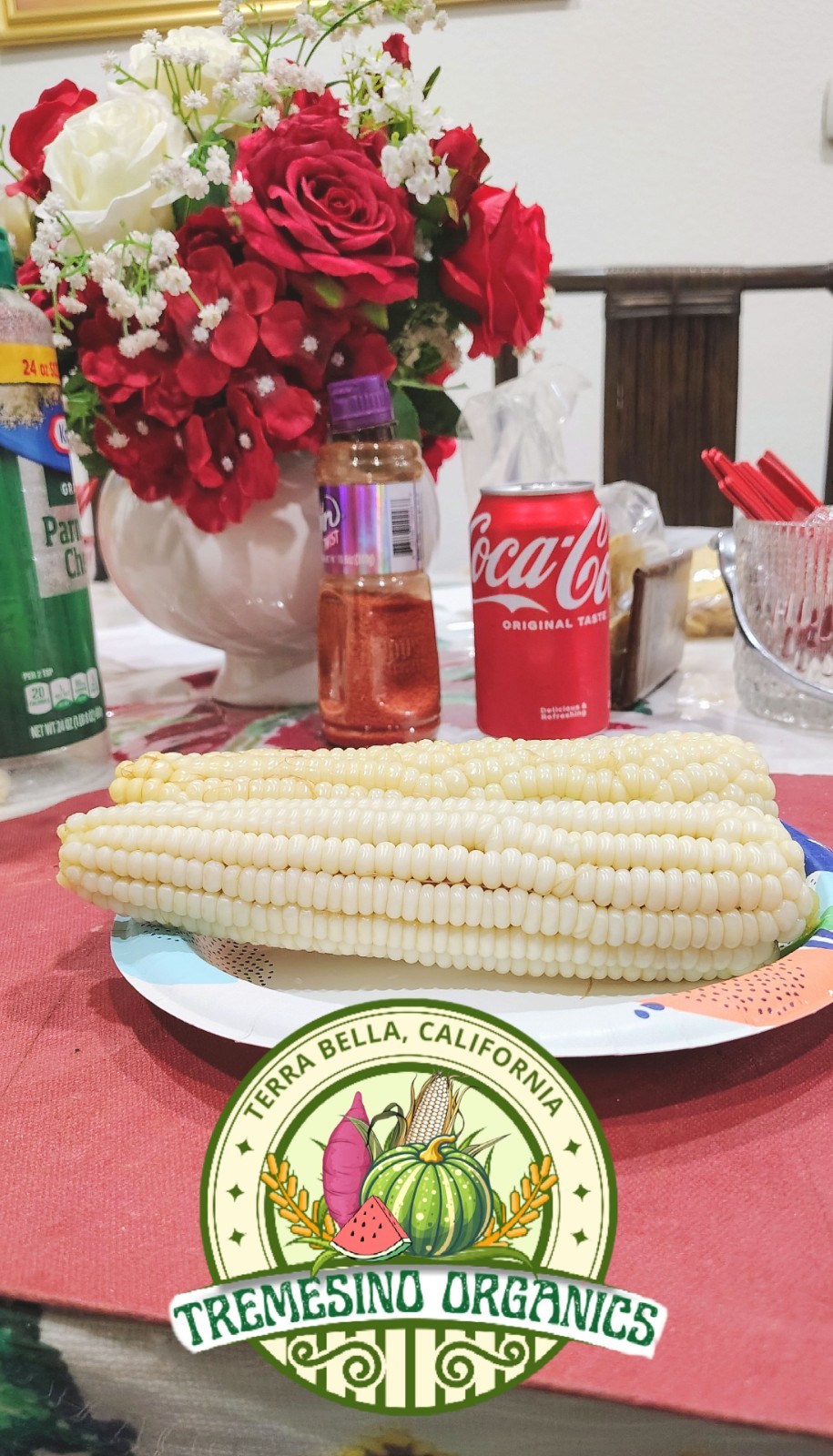 Mexican Sierreño White Corn 50 Seeds- Maiz Criollo Sierreño Mexicano,50 Semillas