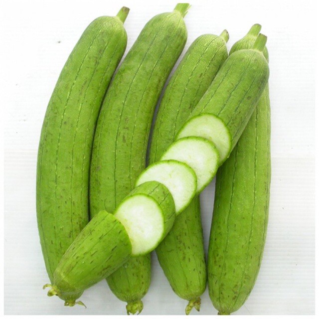 Luffa Gourd – 15 Seeds 2023 – USA