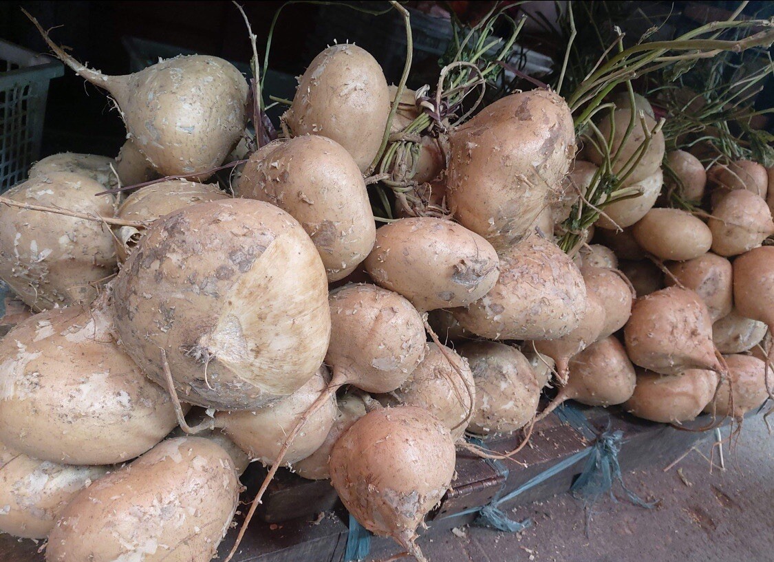 300+ SEEDS-Singkamas /Mexican Yam Bean Root, Cu Dau, Man Kaew for planting.