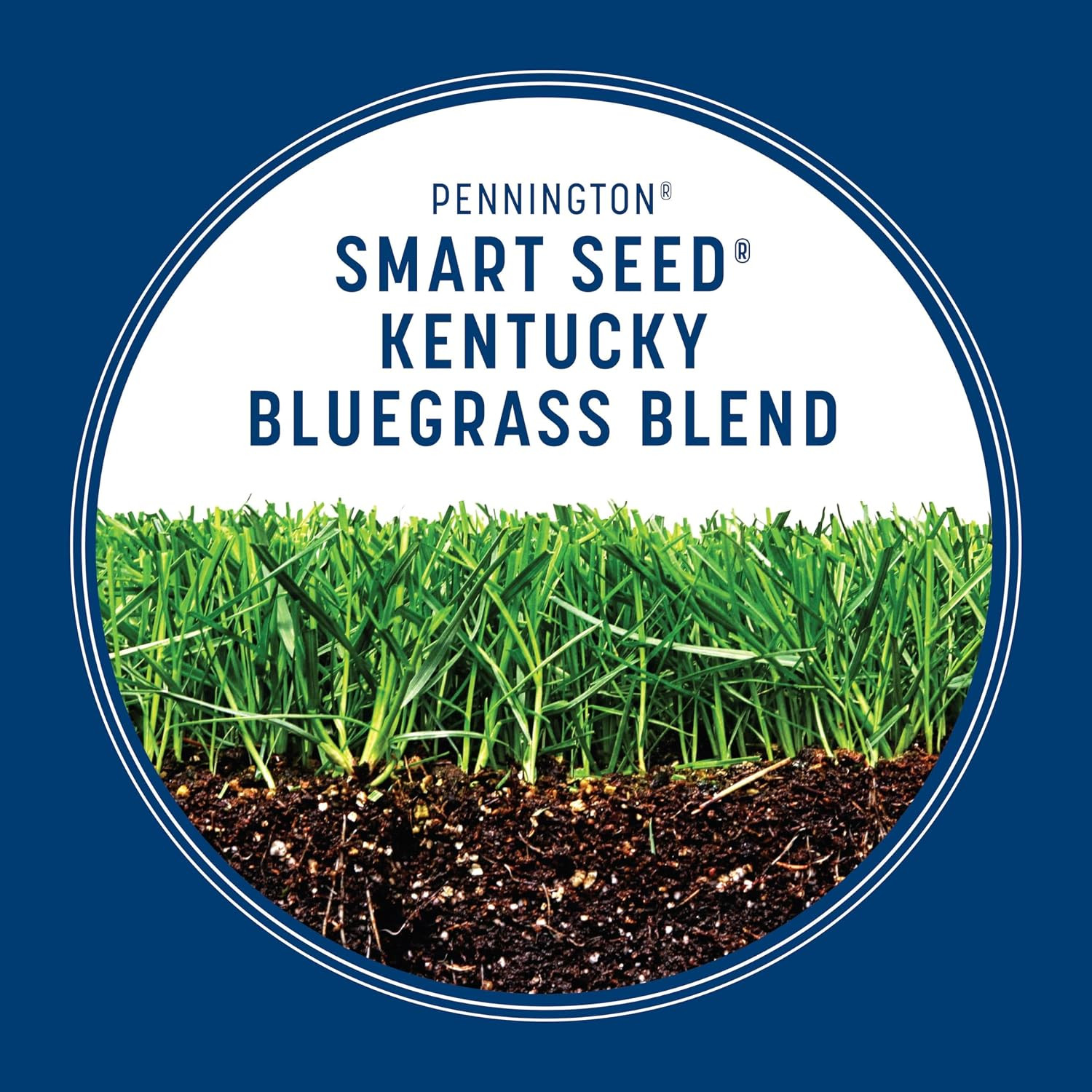 Smart Seed Kentucky Bluegrass Blend, 3 Lb, Kentucky Blue Grass Seeds for Lawn