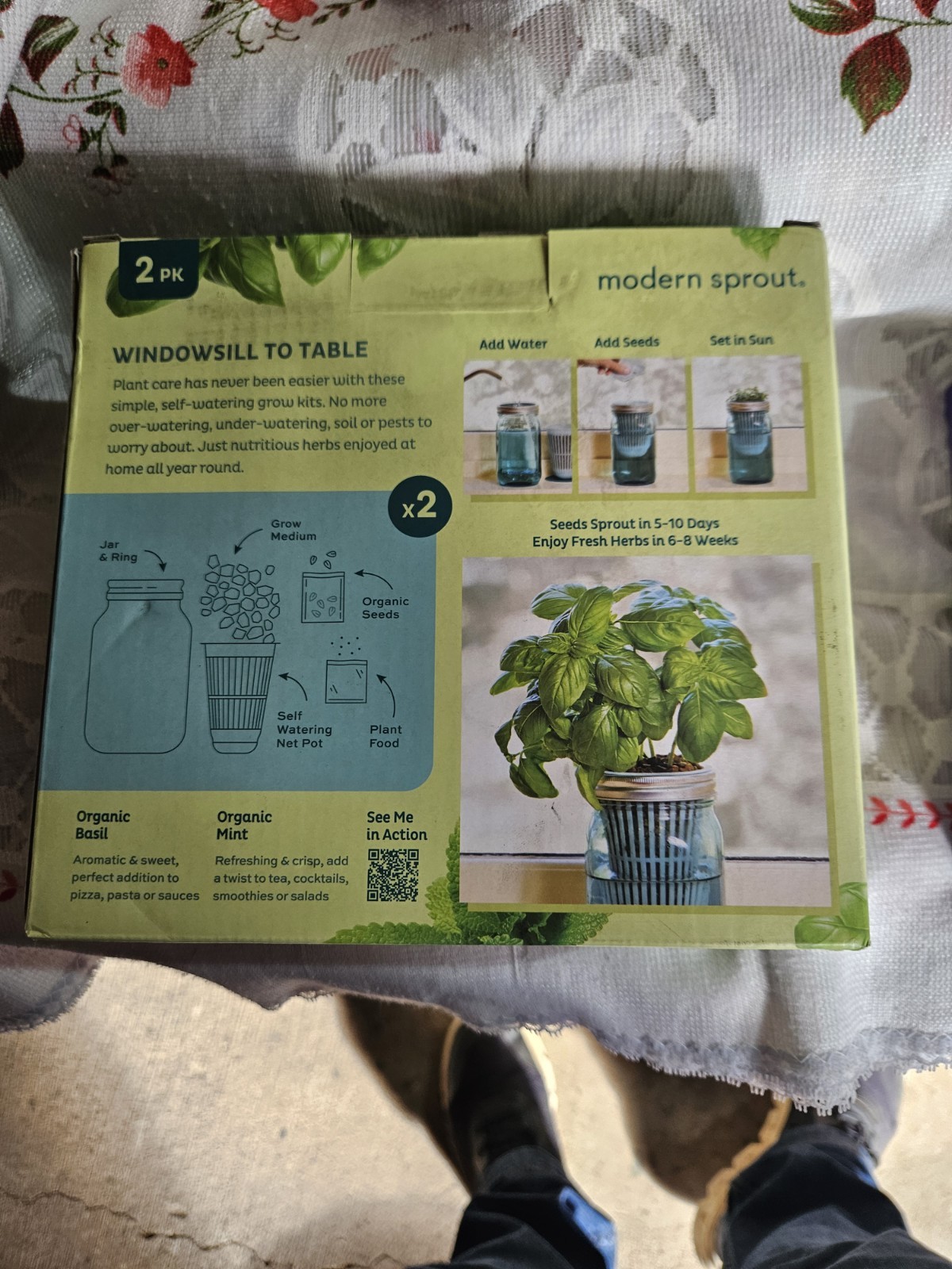 Modern Sprout Organic Self-Watering Herb Seeds 2pk Basil & Mint Edible Indoor