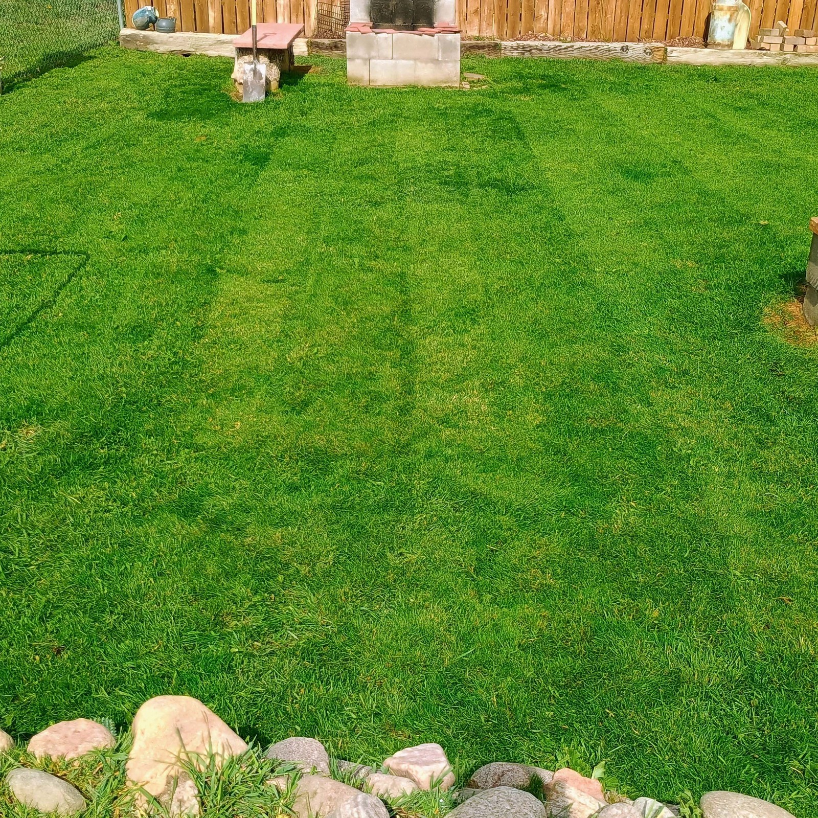 10 LBS – OptiGrowth Coated Fireball & Hattrick Grass Seed – Perennial