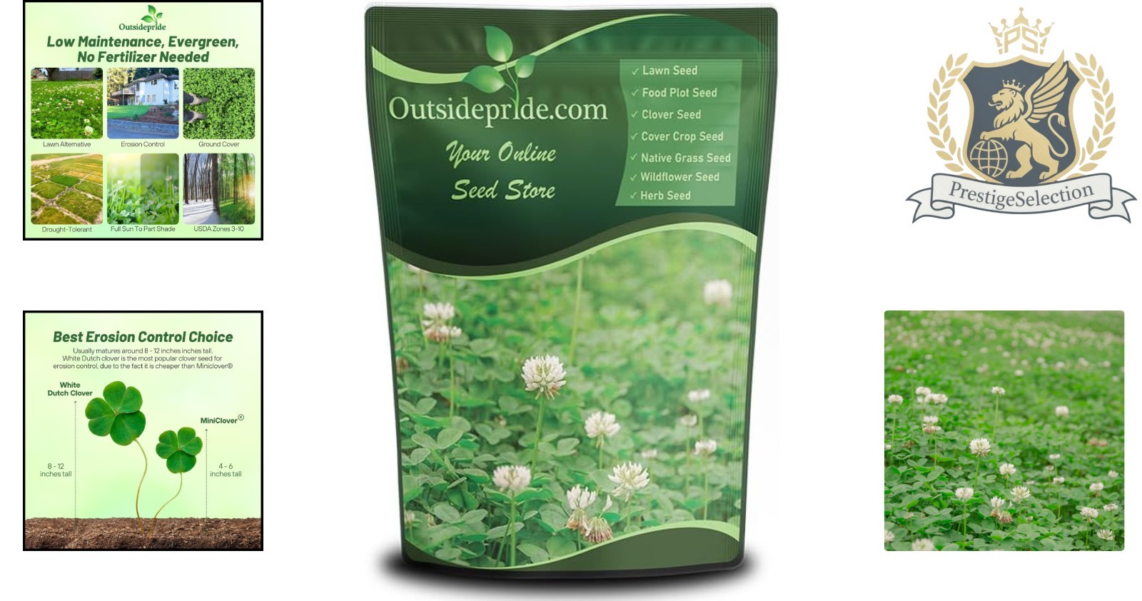 Fast-Germinating White Dutch Clover Seeds – 1/4 Lb for Effortless Ground Cover