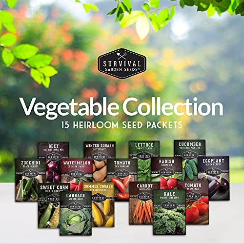 Vegetable Garden Collection Seed Vault – Non-GMO Heirloom Family Garden Seeds