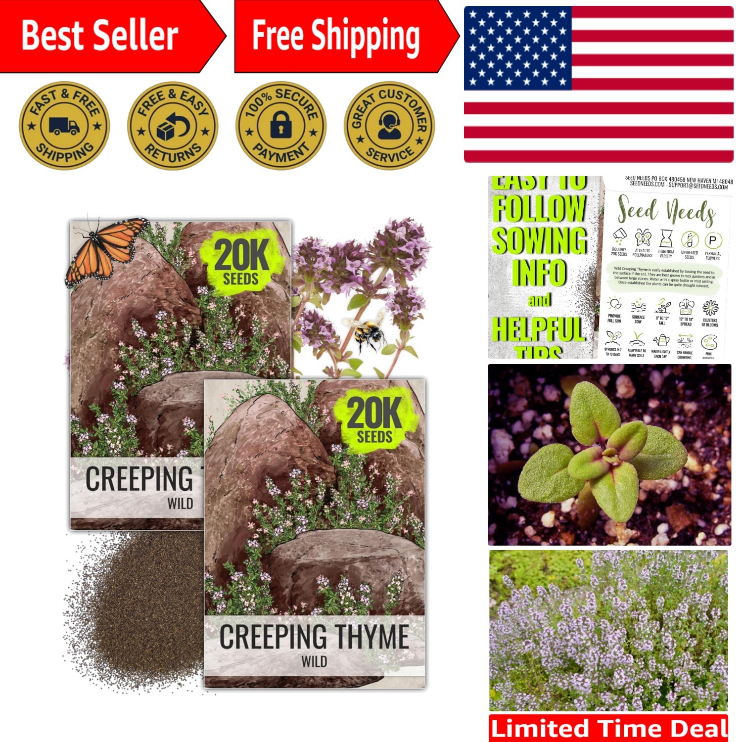 Easy-Grow Wild Creeping Thyme Seeds – Purple Flowers for Sustainable Gardening