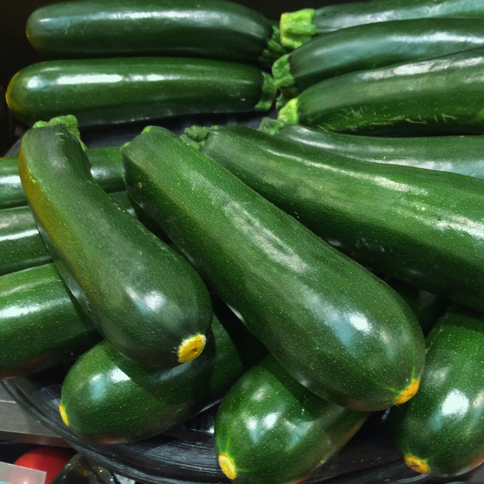 Zucchini Dark Green Seeds, High Yield, Easy to Grow, Non-GMO, Free Shipping