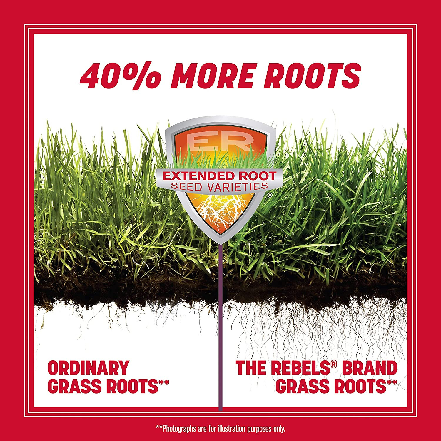 The Rebels Tall Fescue Grass Seed Blend 3 Pounds