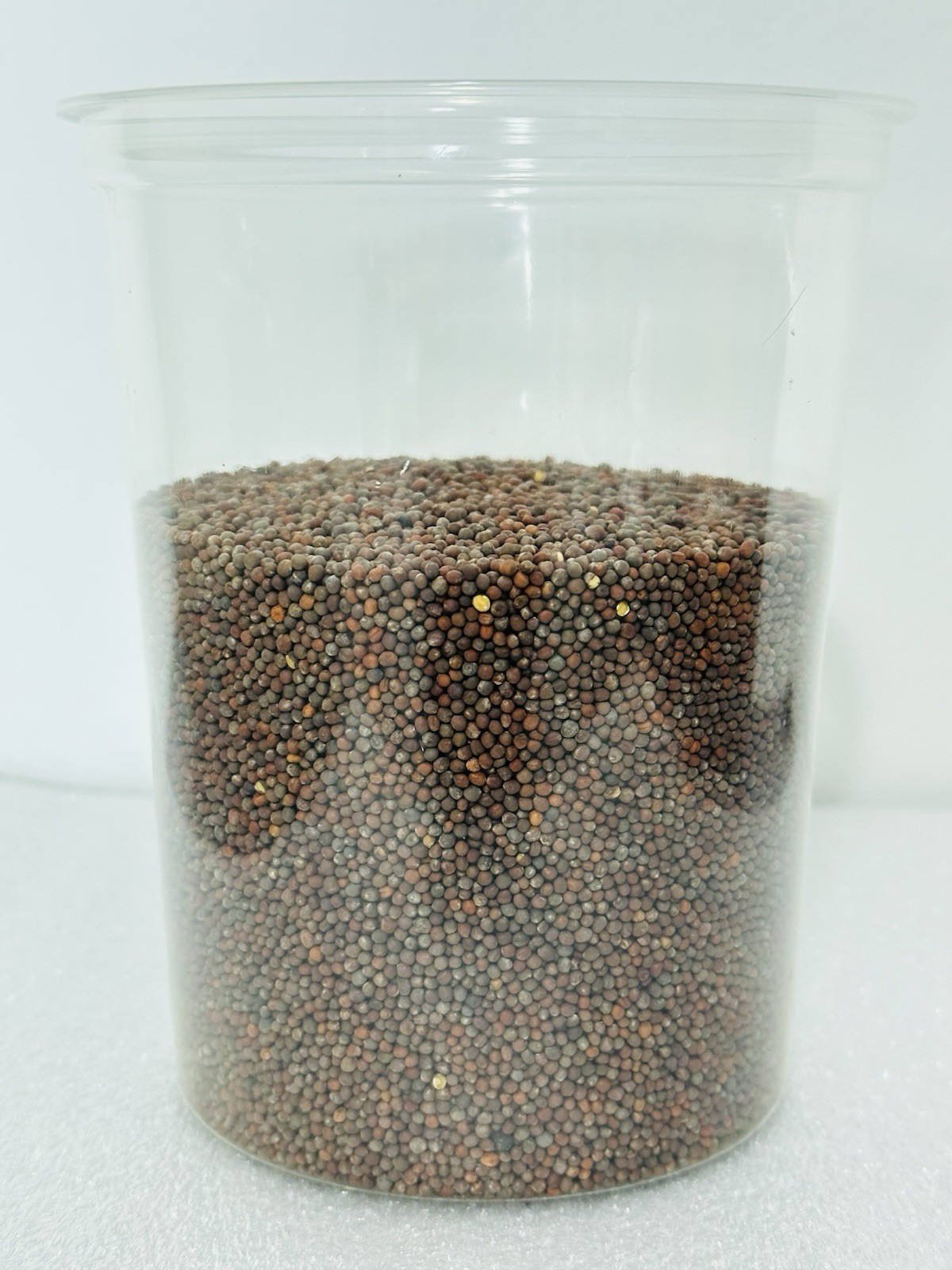Organic non-GMO Waltham 29 Broccoli Seeds Sprouting Sprouts Microgreens 1 pound