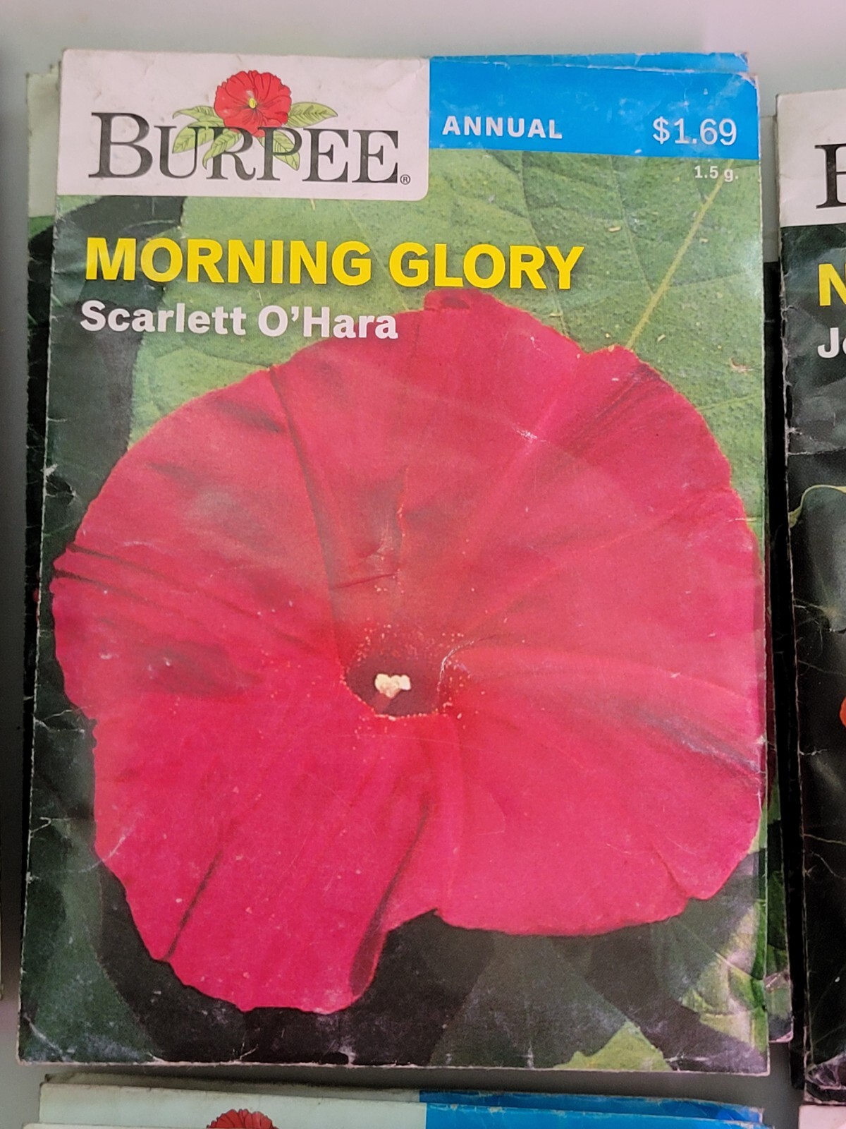 Burpee Flower Seed Assortment 3 (2020) New Sealed Inventory Guaranteed to Sprout
