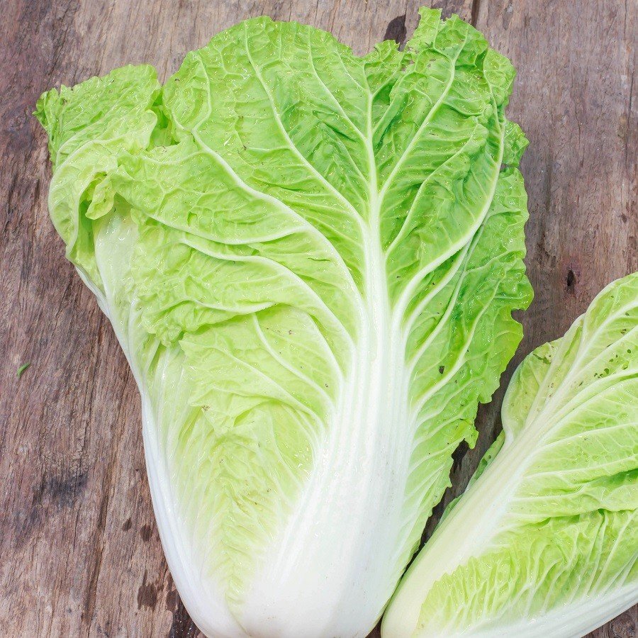 Cool Season 3oz of Pak choy, Chinese Broccoli & Michihili, Pak Choi Cabbage