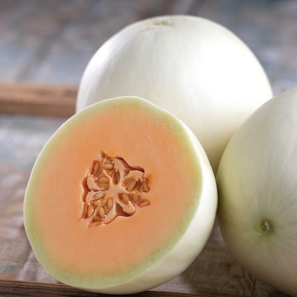 Orange Honeydew Melon Seeds | Non-GMO | Free Shipping | Seed Store | 1053