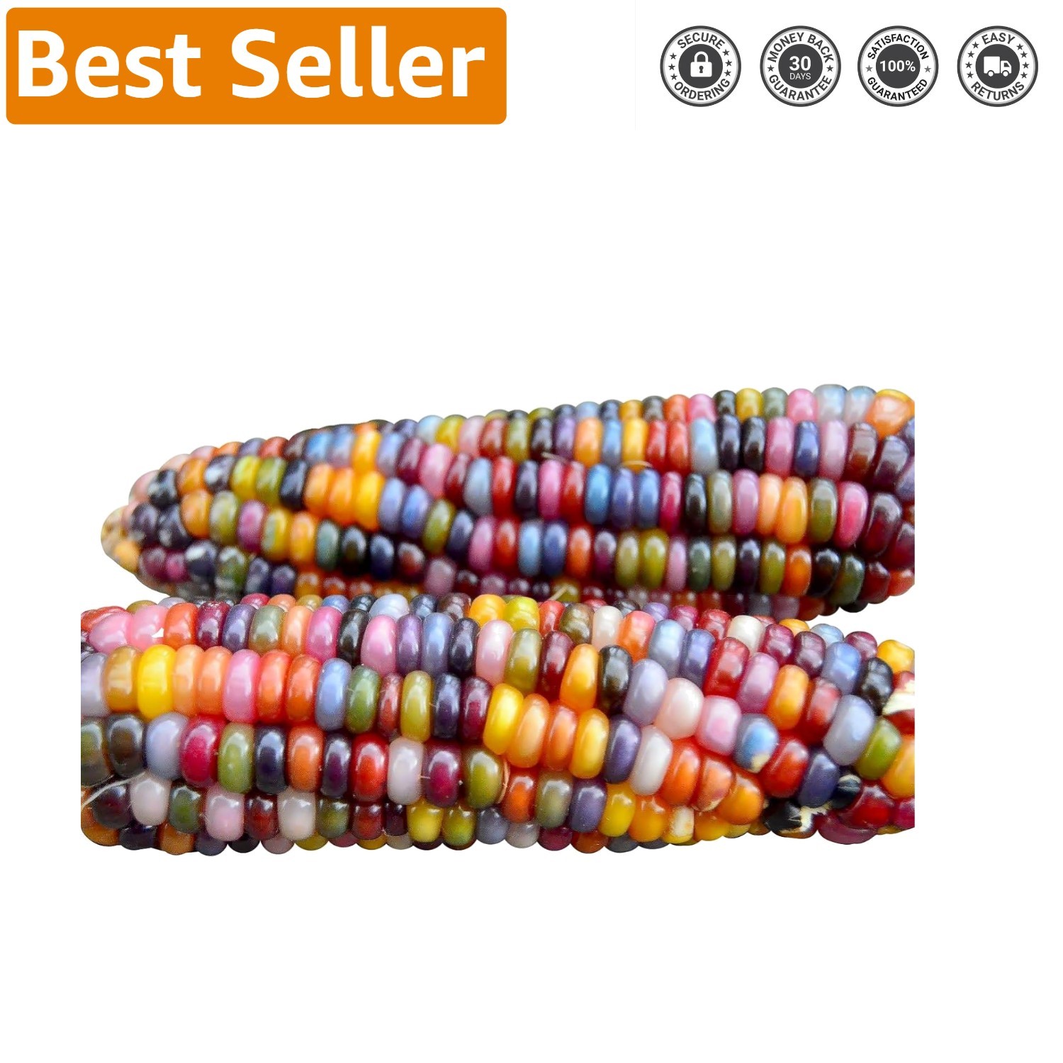 Vivid 100 Count Glass Gem Corn Seeds – Perfect for Crafts and Summer Gardens