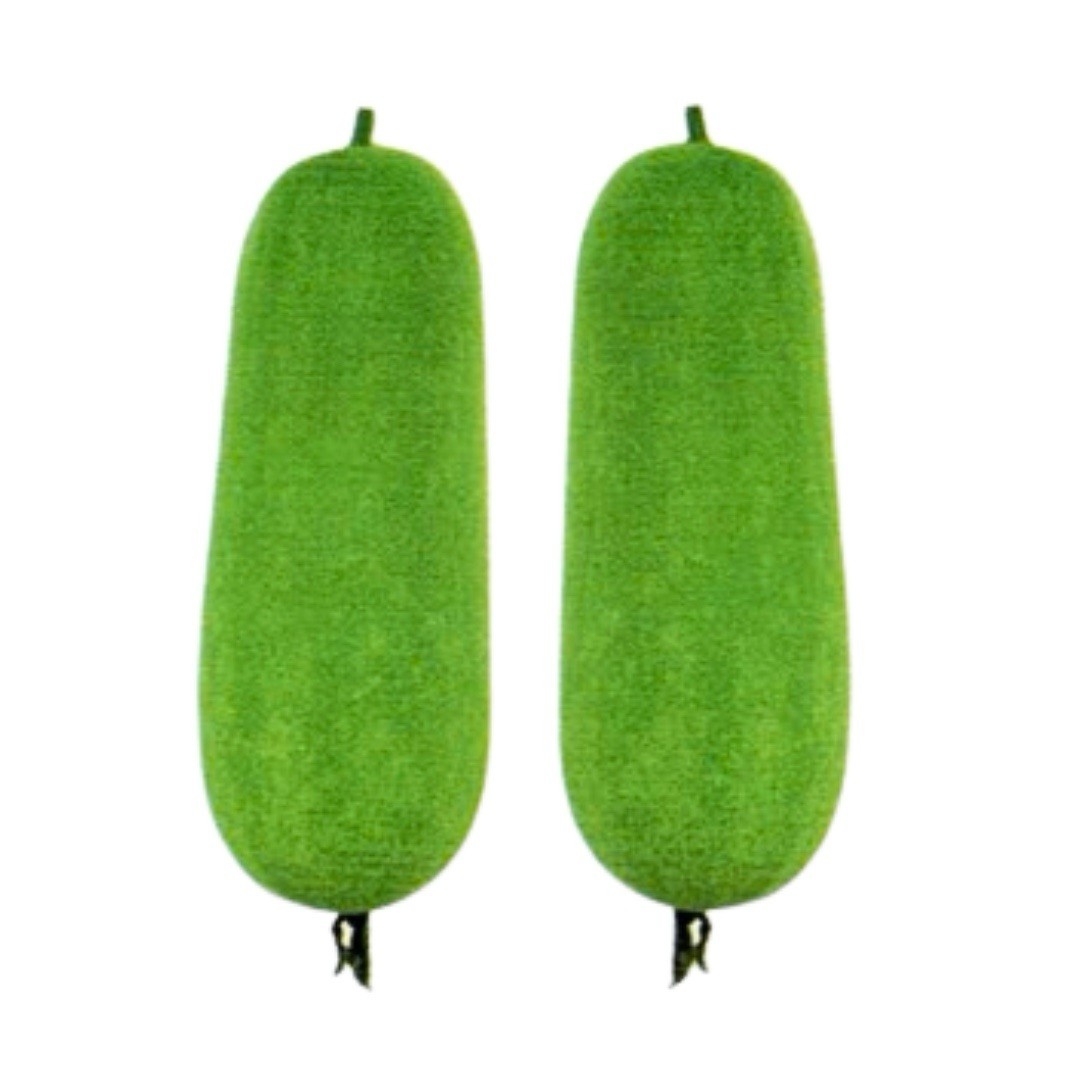 Wax Gourd Seeds – Taj 1 Gram 25+ Seeds